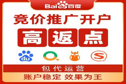 SEM代运营机构成功案例：优化策略与效果分析