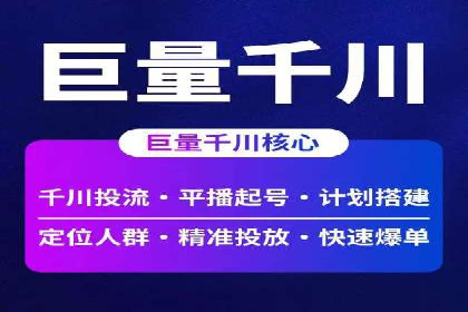 揭秘百度竞价代理：实战案例分析
